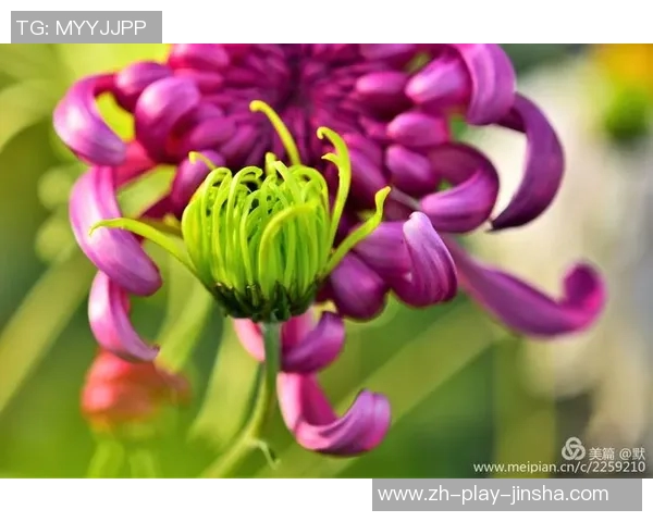 金沙娱乐网址4439-探索金沙娱乐网址4439的世界-金沙娱乐网址4439 金沙娱乐网址4439-探索金沙娱乐网址4439的世界-金沙娱乐网址4439